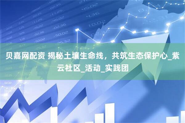 贝嘉网配资 揭秘土壤生命线，共筑生态保护心_紫云社区_活动_实践团