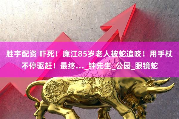 胜宇配资 吓死！廉江85岁老人被蛇追咬！用手杖不停驱赶！最终…_钟先生_公园_眼镜蛇