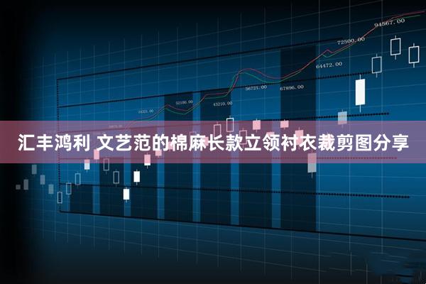 汇丰鸿利 文艺范的棉麻长款立领衬衣裁剪图分享