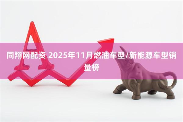 同翔网配资 2025年11月燃油车型/新能源车型销量榜